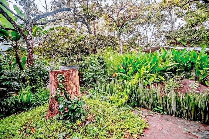 Posada  Colima