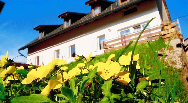 Apartmaji Pri Kokolu in Bled