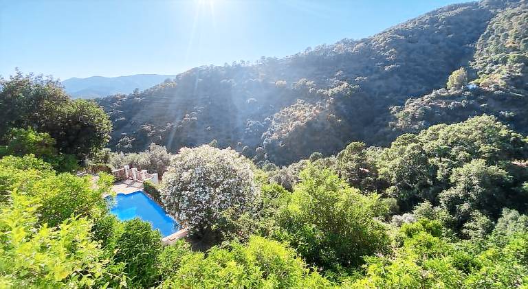 Vacation home with pool — photo 5