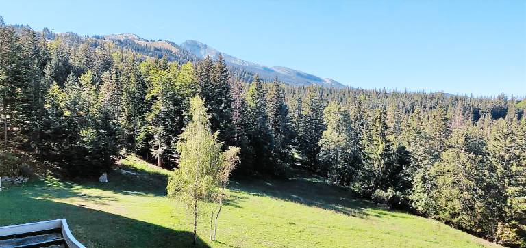 Appartement Villard-de-Lans