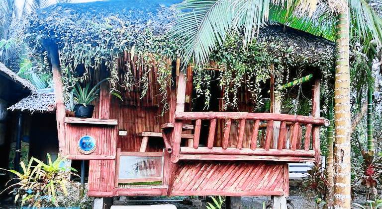 Vacation home with patio, garden & pool | Close to the beach | Pet-friendly in Baler