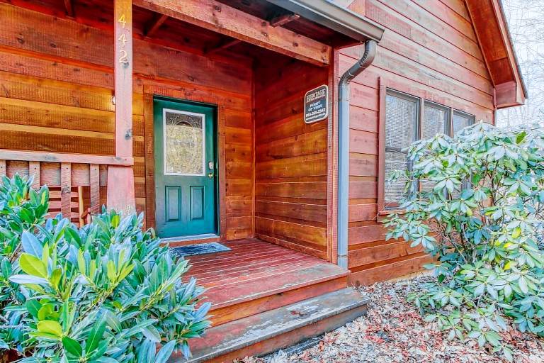 Cabin with private pool — photo 2