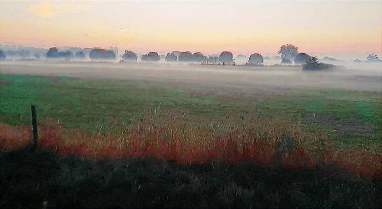 foto5