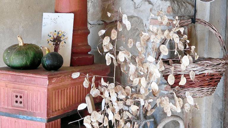 Podere la Casellina - un vero agriturismo familiare: Struttura intera — photo 4