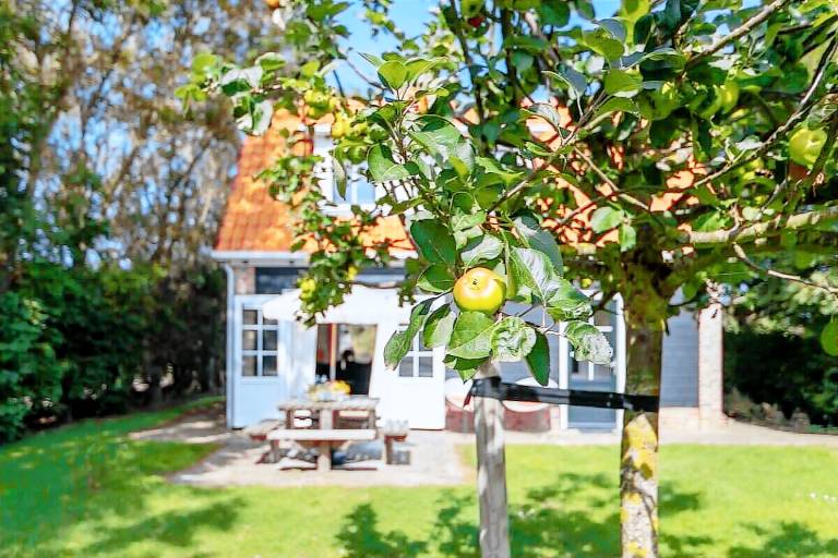 Ferienhaus Zoutelande