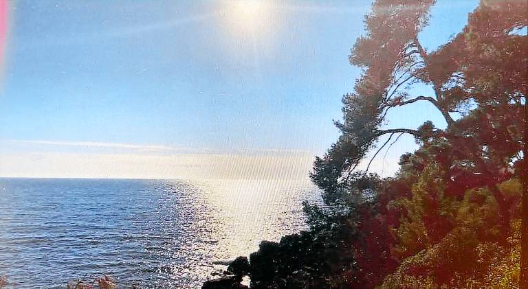 Lovely holiday apartment | Next to the beach | Pet-friendly — photo 5