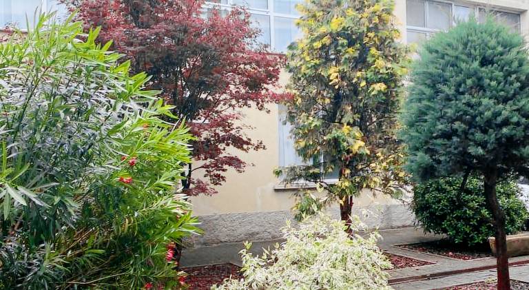 Nice rental apartment | Pets allowed — photo 4