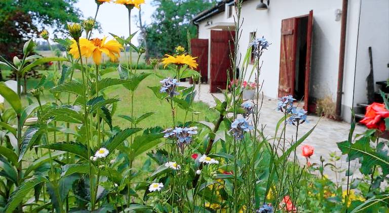 Bed & Breakfast Sochaczew