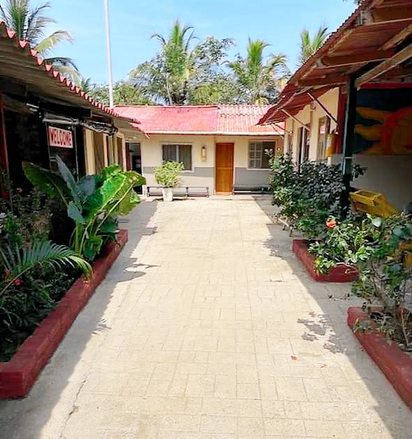 New Palomino Hostel — photo 2