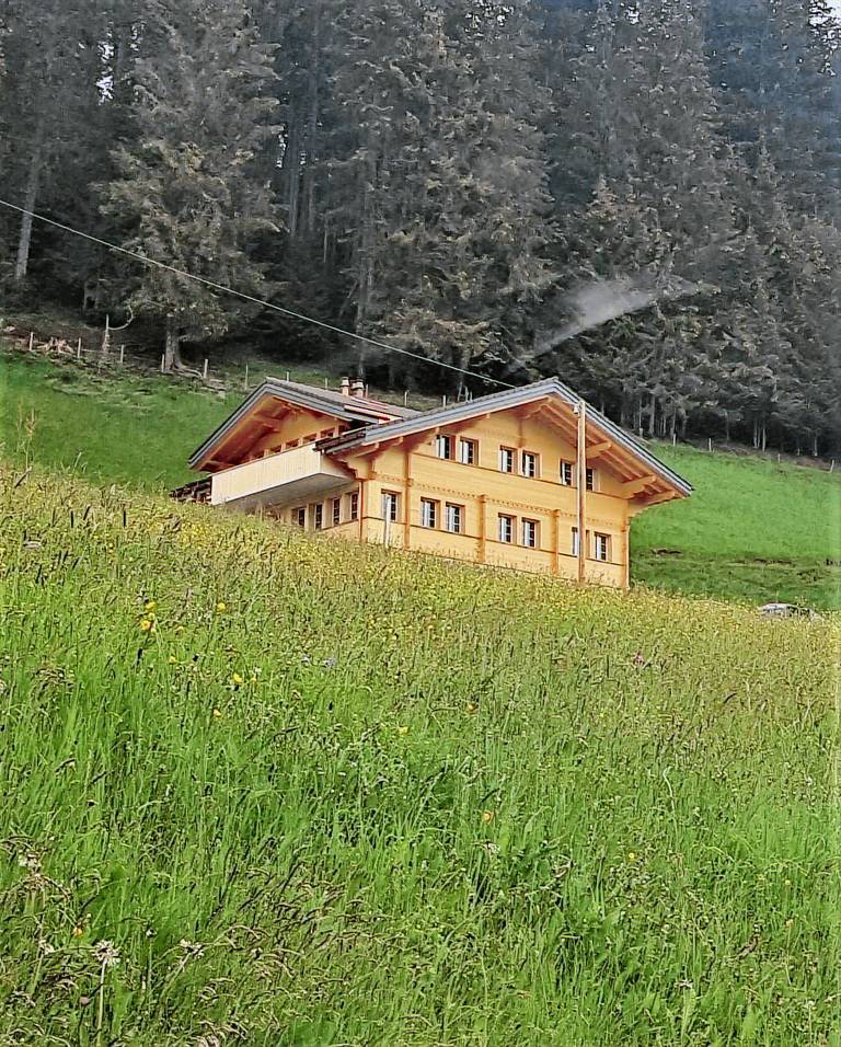 foto2