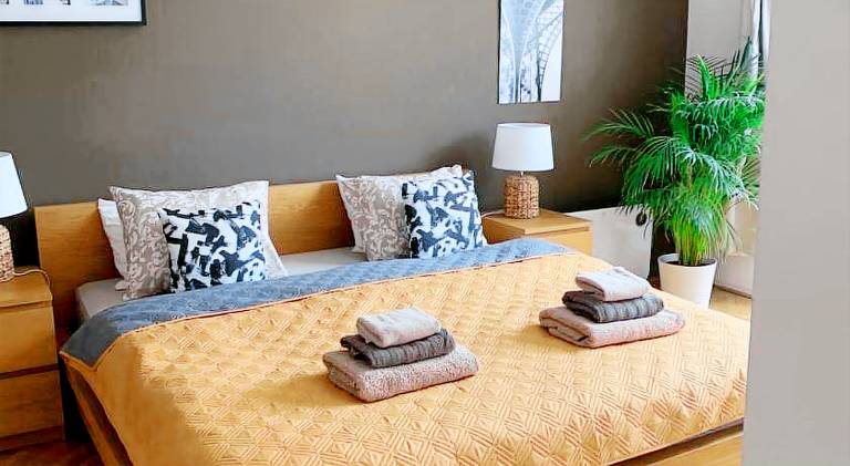 Wonderful apartment | Near Prague astronomical clock | Pets allowed in Prague