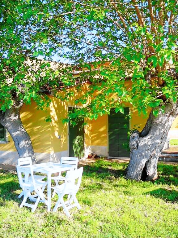 Rental apartment with private pool & garden — photo 2