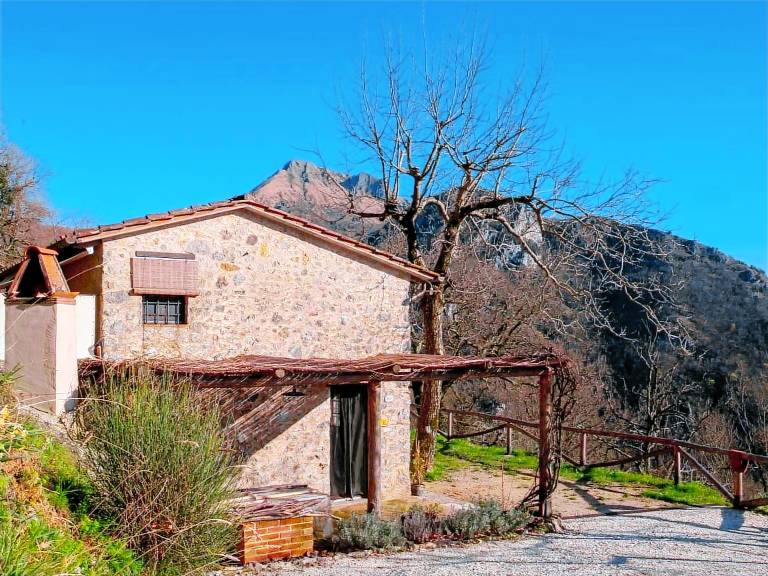 House with patio, garden & grill | Pet-friendly — photo 3