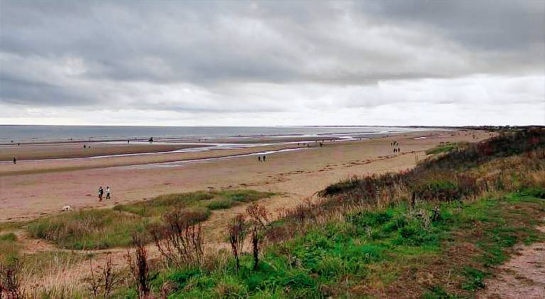 1 Bed Cabin - Sleeps 2 - Pets - 2 Min To Beach — photo 5