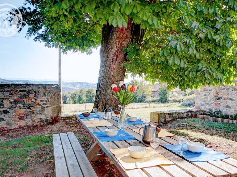Cottage with barbeque & garden | Pets allowed — photo 3