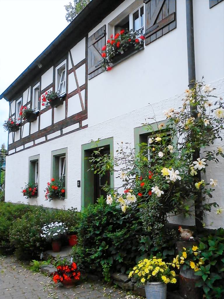 Urlaub auf dem Bauernhof — photo 2
