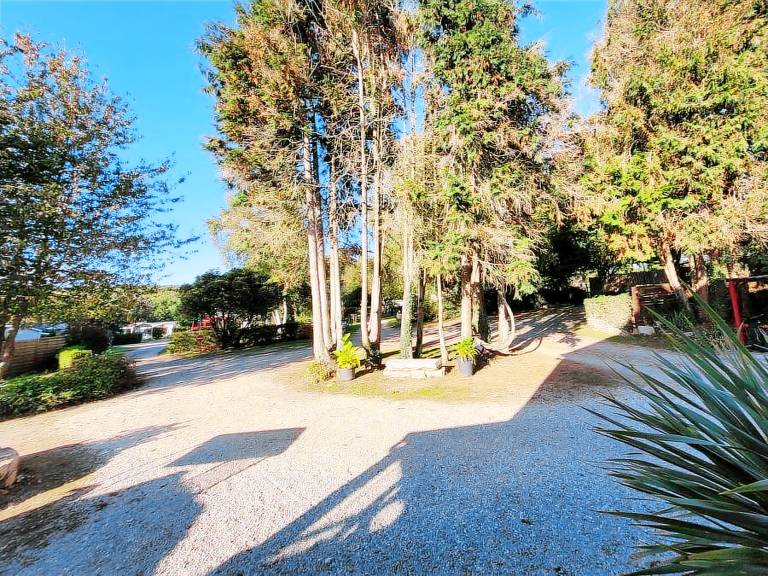 Mobile home with patio | Dogs allowed — photo 2