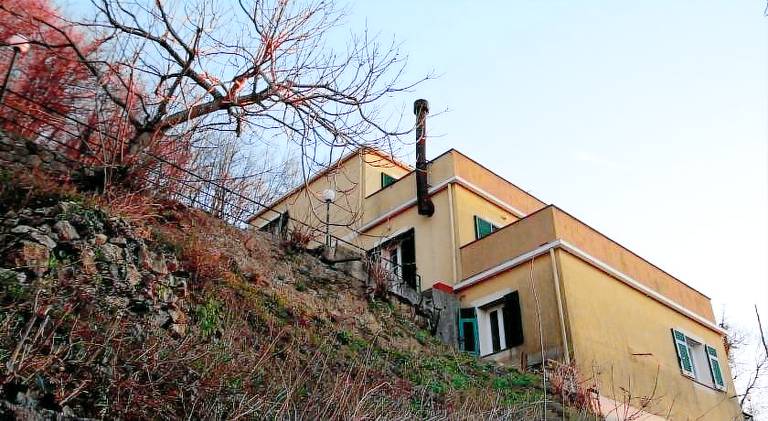 Apartment  Oregina