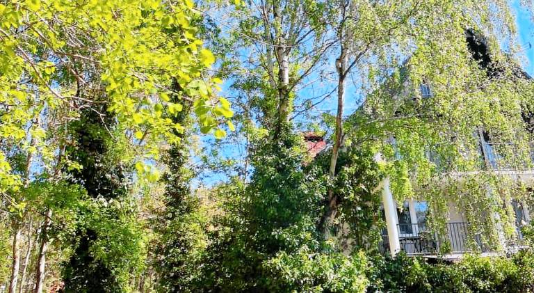 Apartamenty Ogrodowa in Jastarnia