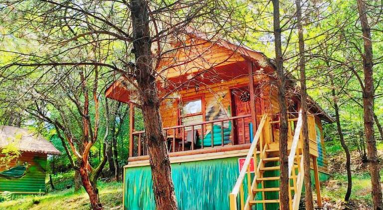 Wonderful lodge with patio & yard | Pets allowed in Bolu