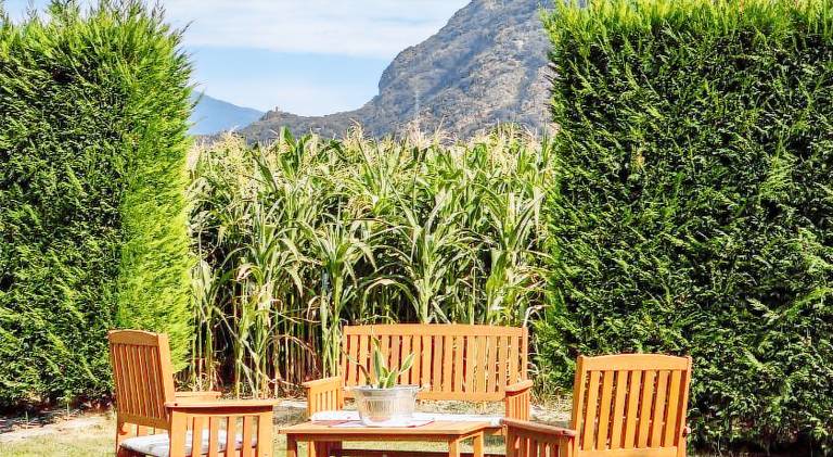 Nice farm with garden | Perfect for remote work | Pet-friendly — photo 5