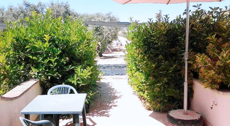 B&B Alicino — photo 4