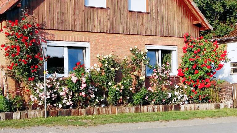 Ferienwohnung  Hünzingen