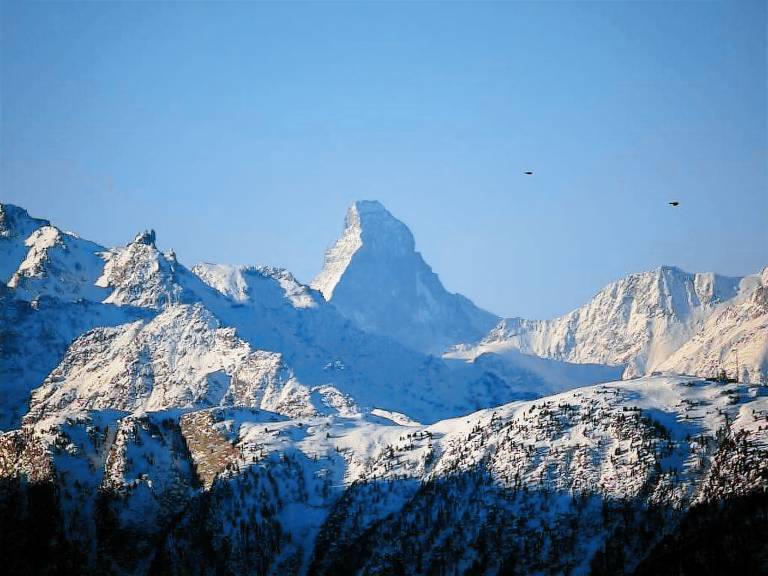 Appartement Riederalp