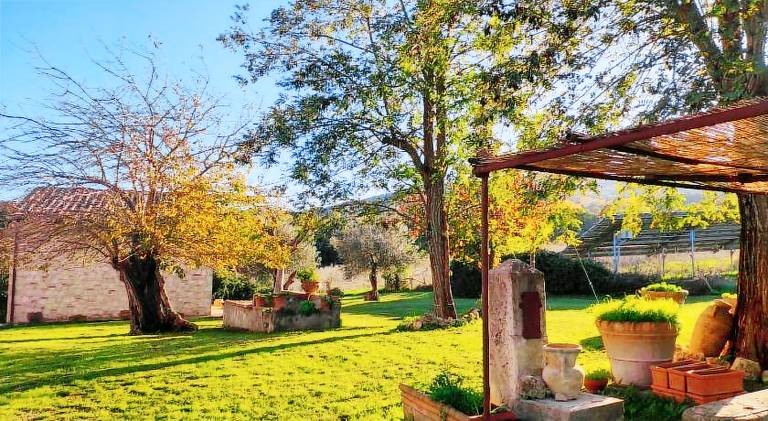 Agriturismo Collina degli Ulivi — photo 4