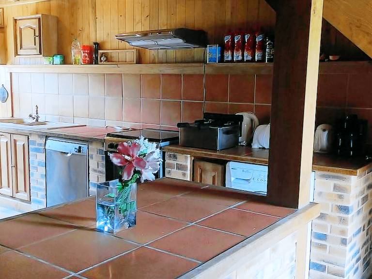 House with private pool & patio | Pets are welcome — photo 5