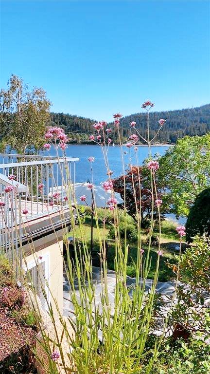 Apartment Schluchsee