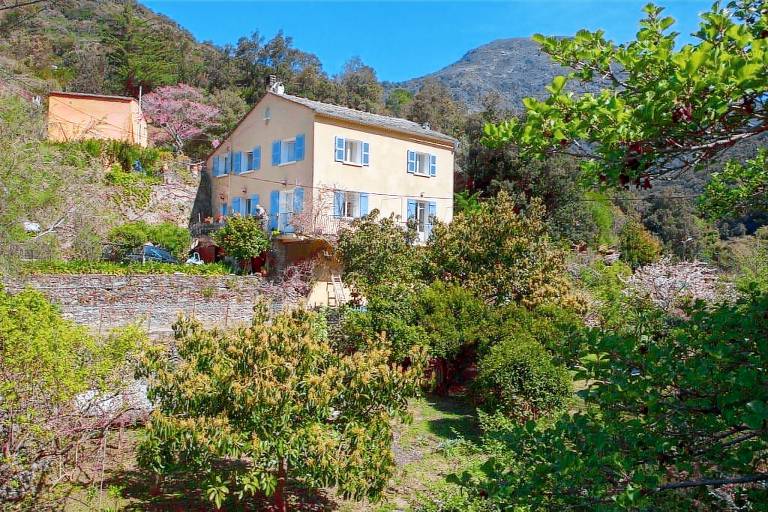 Appartement Nonza