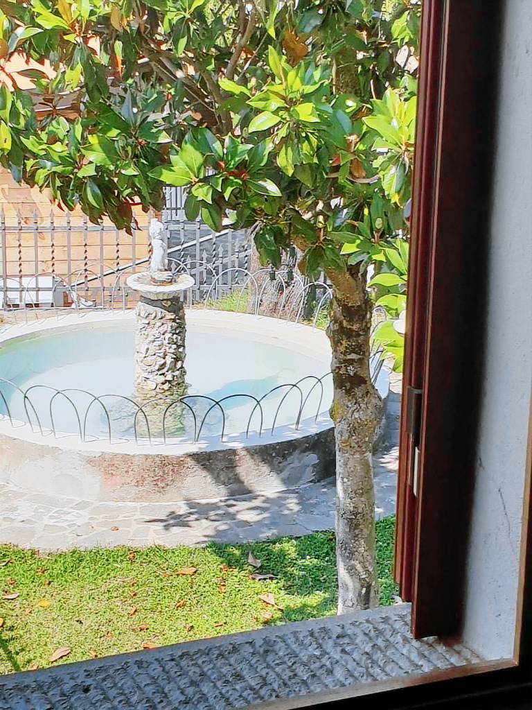 B&B Il Mandorlo — photo 4