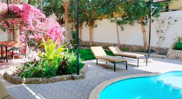 House with pool | Pet-friendly — photo 2
