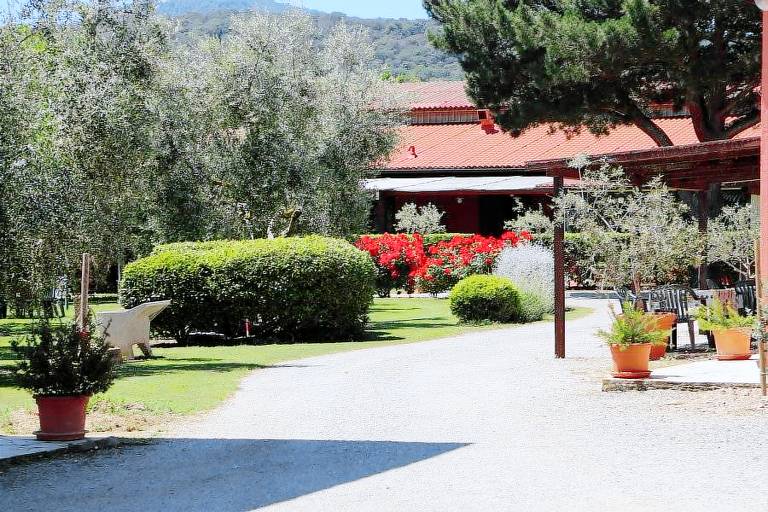 Camera privata Magliano in Toscana