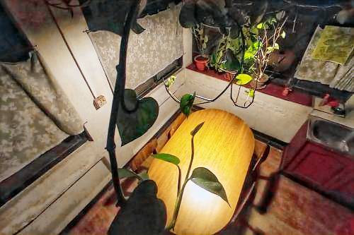 foto2