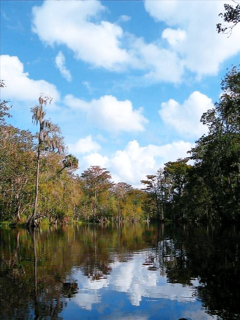 House Silver Springs State Park