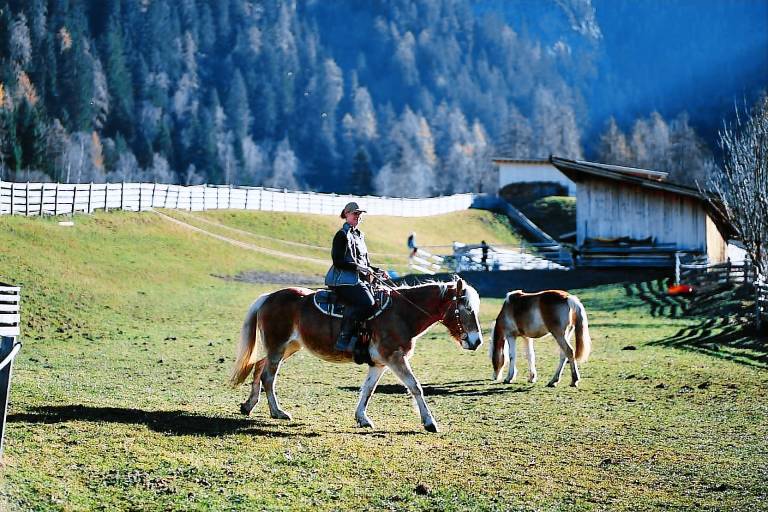ARCHE-OETZTAL — photo 3