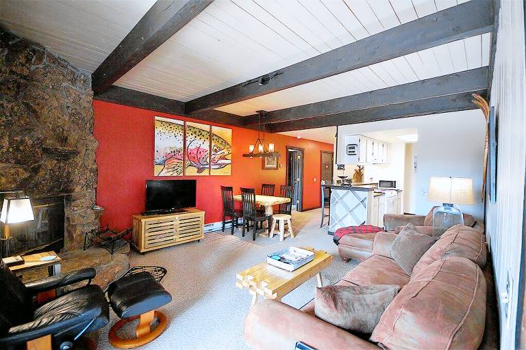 Condo Crested Butte