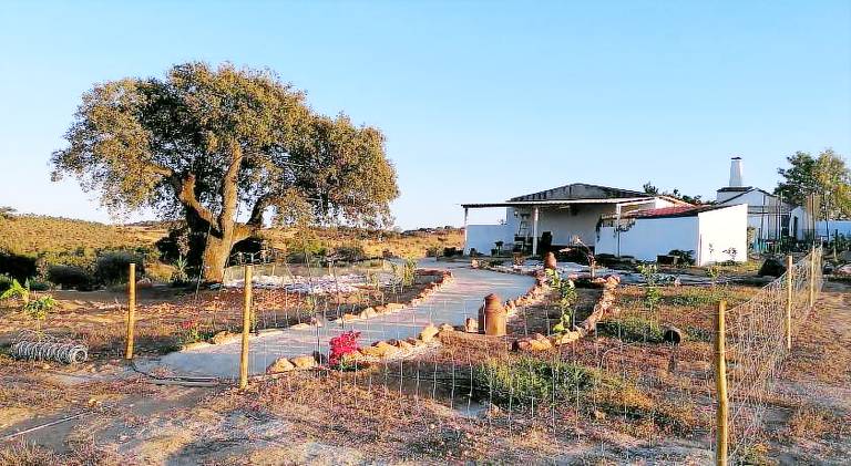 Wonderful farm with yard & terrace | Pets allowed in Évora