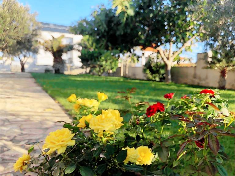 House with yard, BBQ & terrace — photo 5