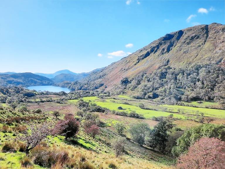Cottage Llanberis
