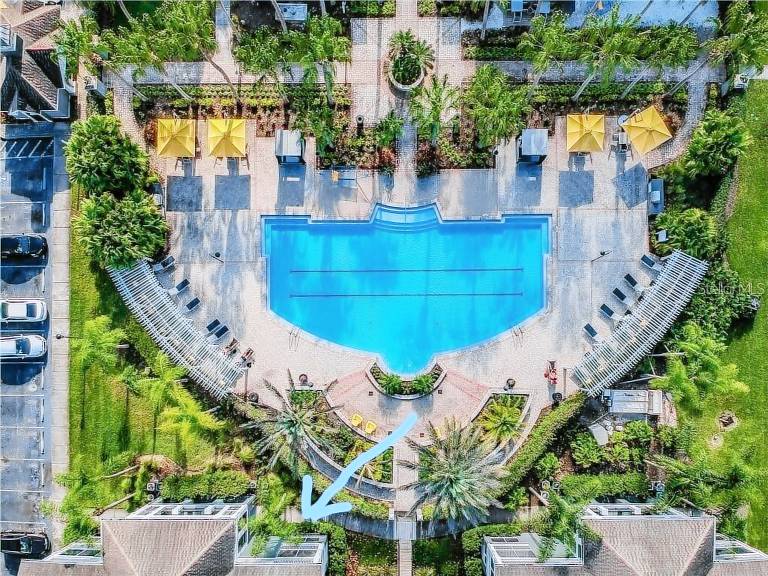 Condo Tampa