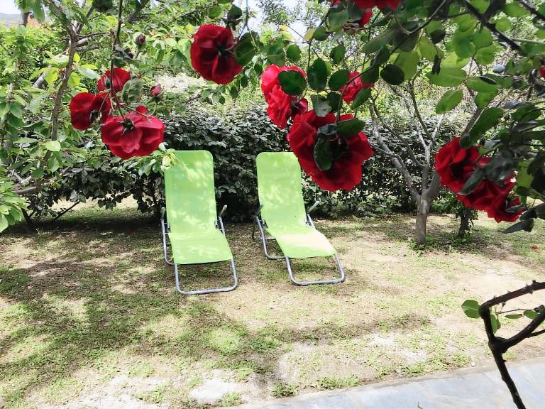 Appartement Centuri