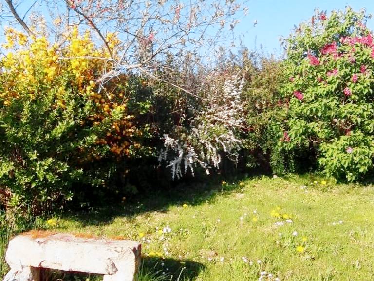 Cottage with barbeque & yard — photo 5