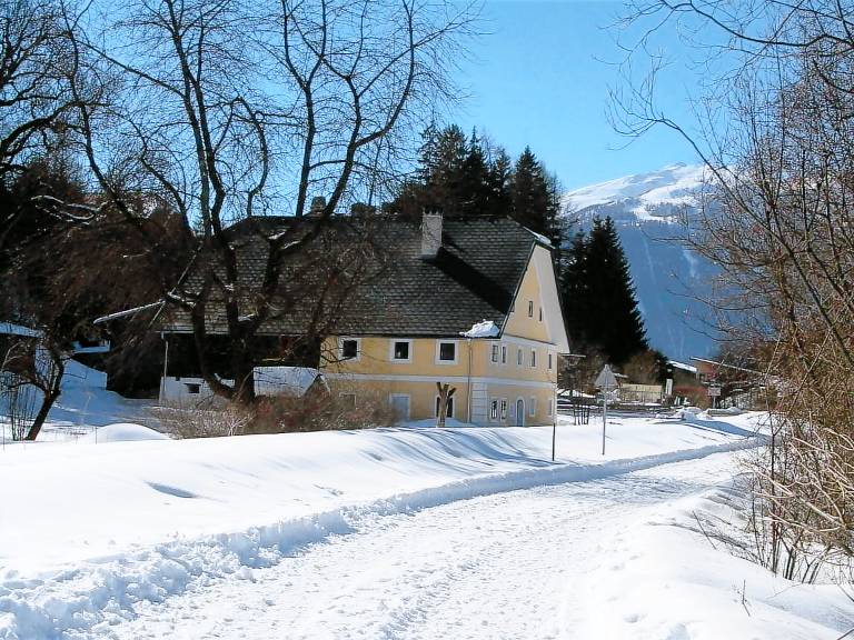 Ferienwohnung mit Hund in Mariapfarr f&uuml;r max. 12 Personen