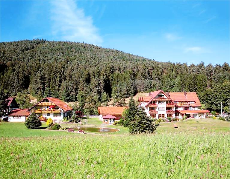 Ferienwohnung  Baiersbronn