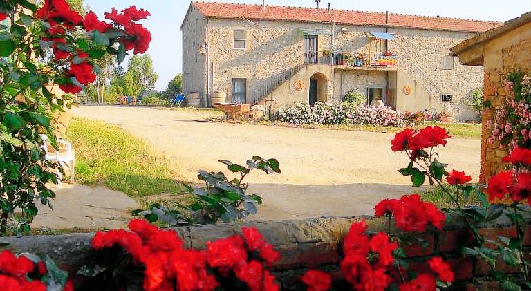 Farm with yard, grill & patio in Orbetello