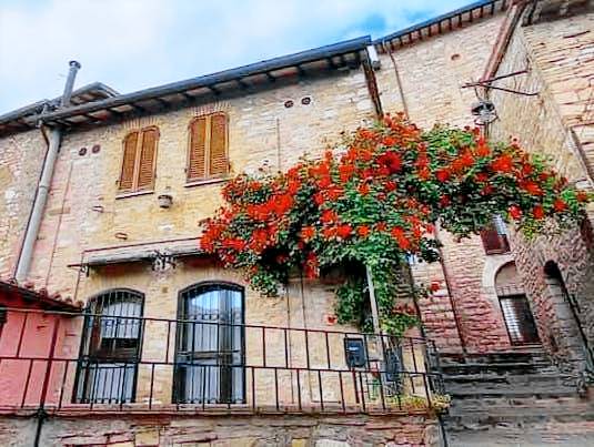 House | Dogs allowed in Assisi