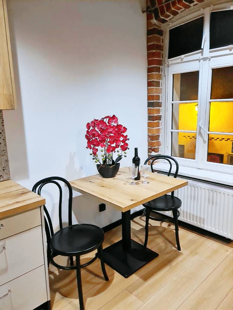 Apartment | Dogs allowed in Torun